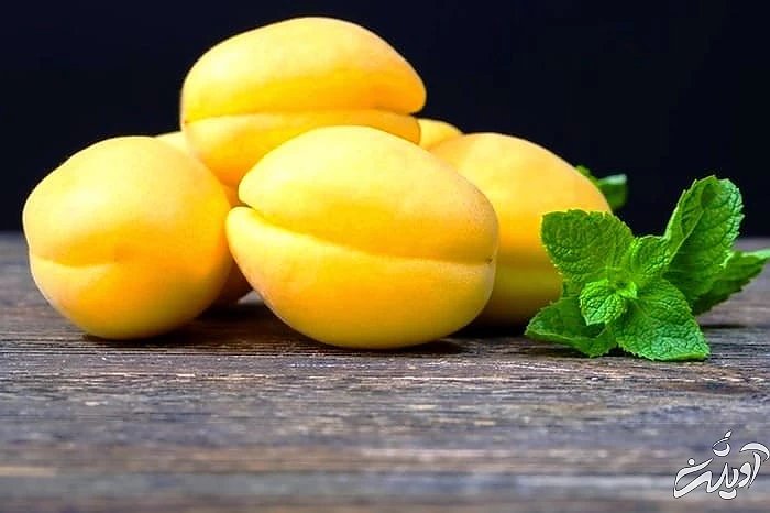 خواص زردآلو برای بارداری خواص زردآلو